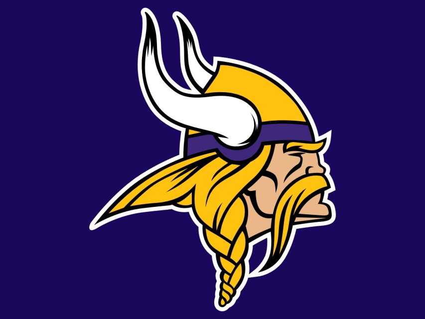 Minnesota Vikings Nail Stickers - wide 4